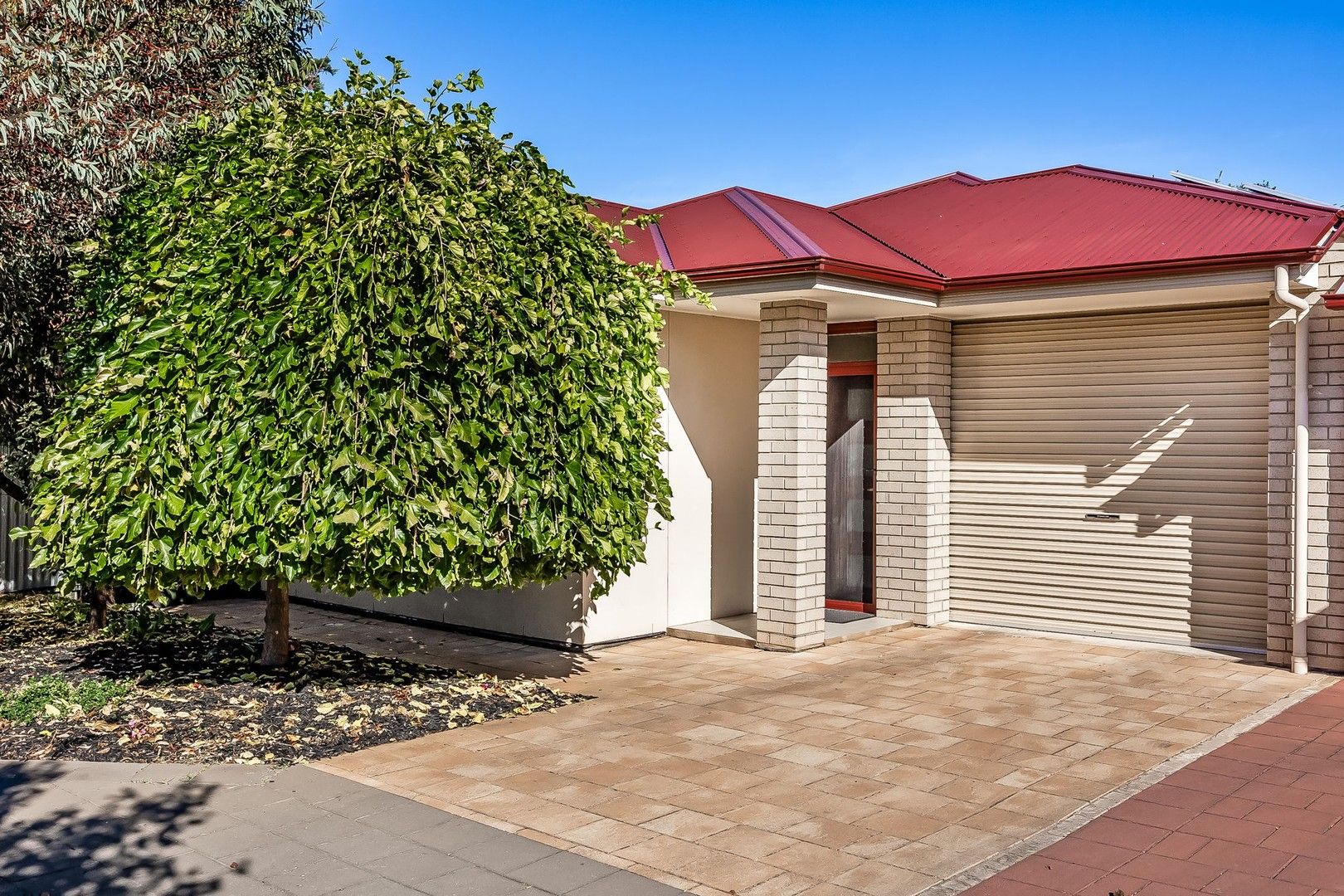 6B Fairfax Terrace, Torrensville SA 5031, Image 0