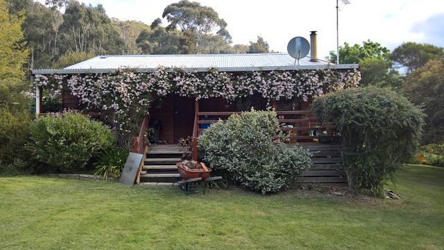 614 Nowhere Creek Rd, Nowhere Creek VIC 3469, Image 0