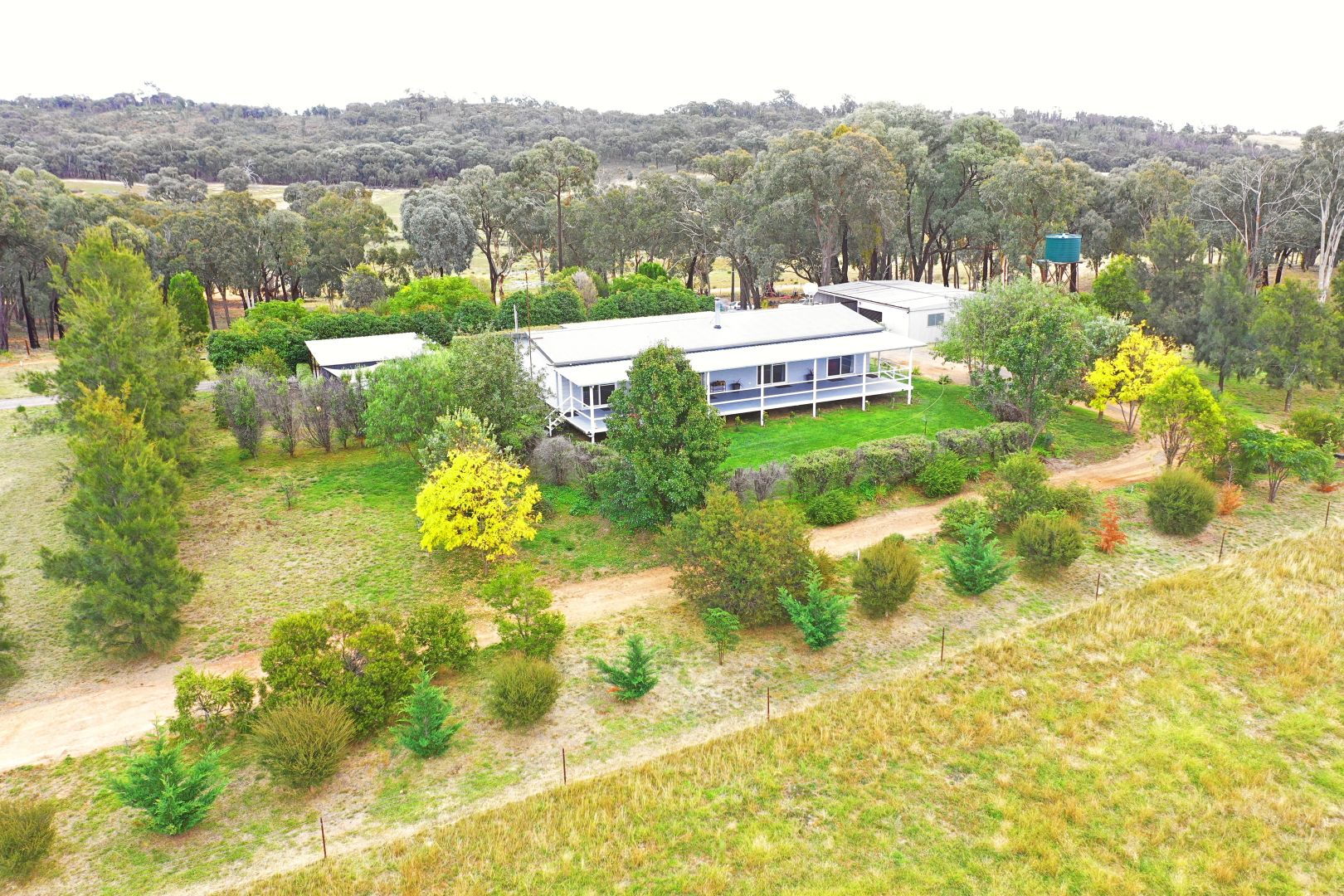 831 Taylors Flat Road, Boorowa NSW 2586, Image 2