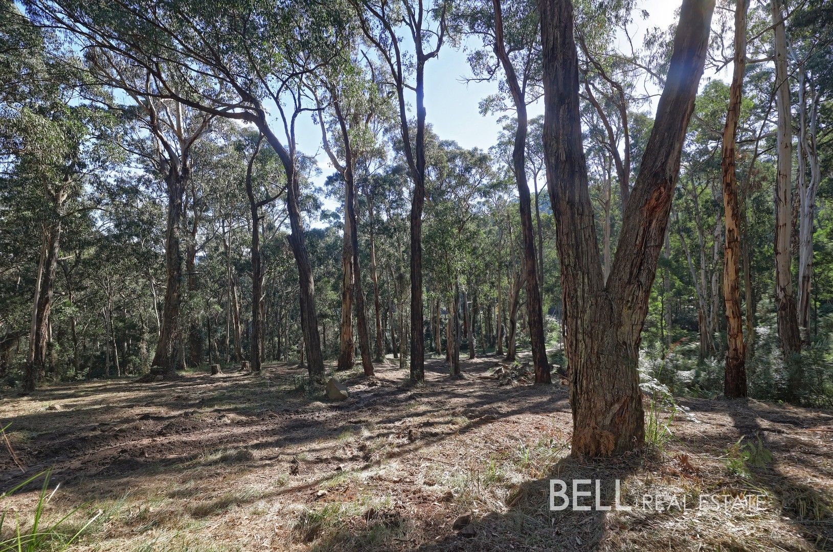 33 Selby Aura Road, Menzies Creek VIC 3159, Image 0