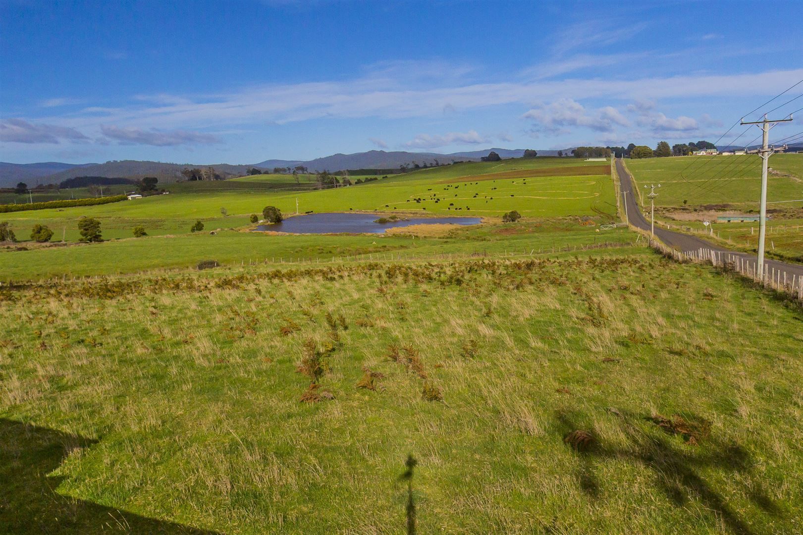 5 Hardmans Lane, Winnaleah TAS 7265, Image 2