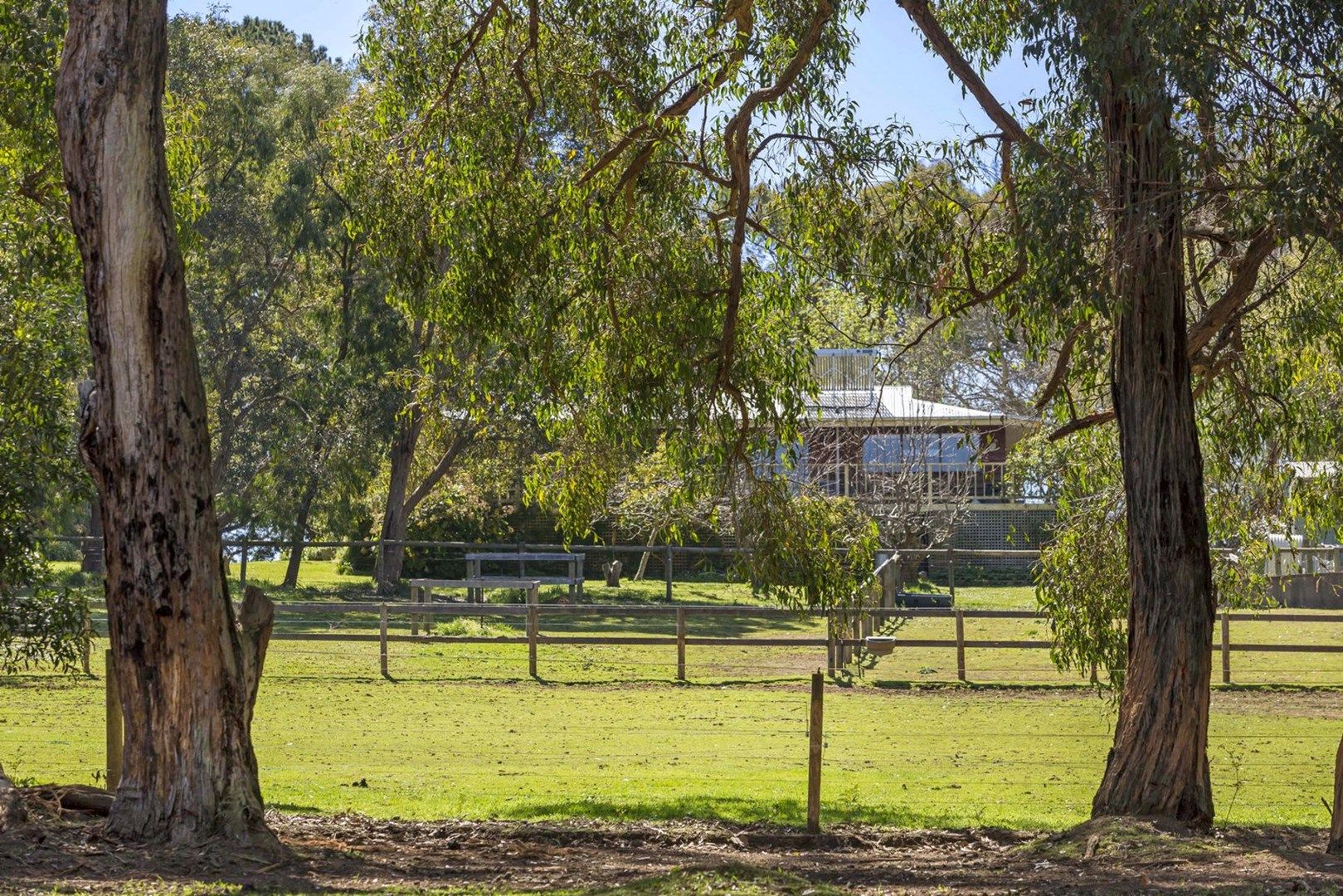150 Point Leo Road, Red Hill VIC 3937, Image 1
