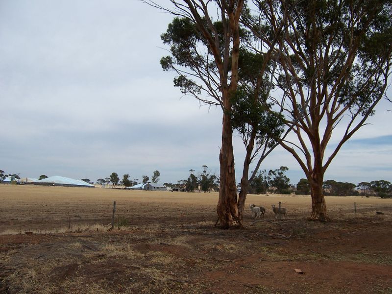 104 West, Dumbleyung WA 6350, Image 2