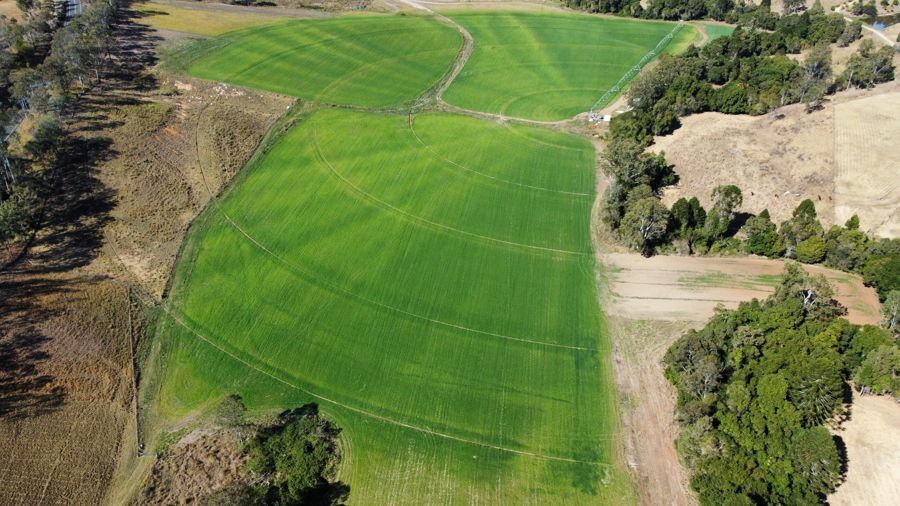 Long Flat QLD 4570 Vacant Land for Sale Domain