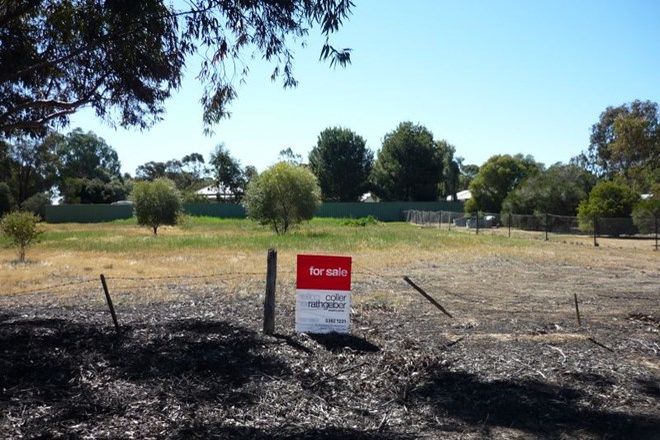 Picture of Lot 31 Mackintosh Avenue, RUPANYUP VIC 3388