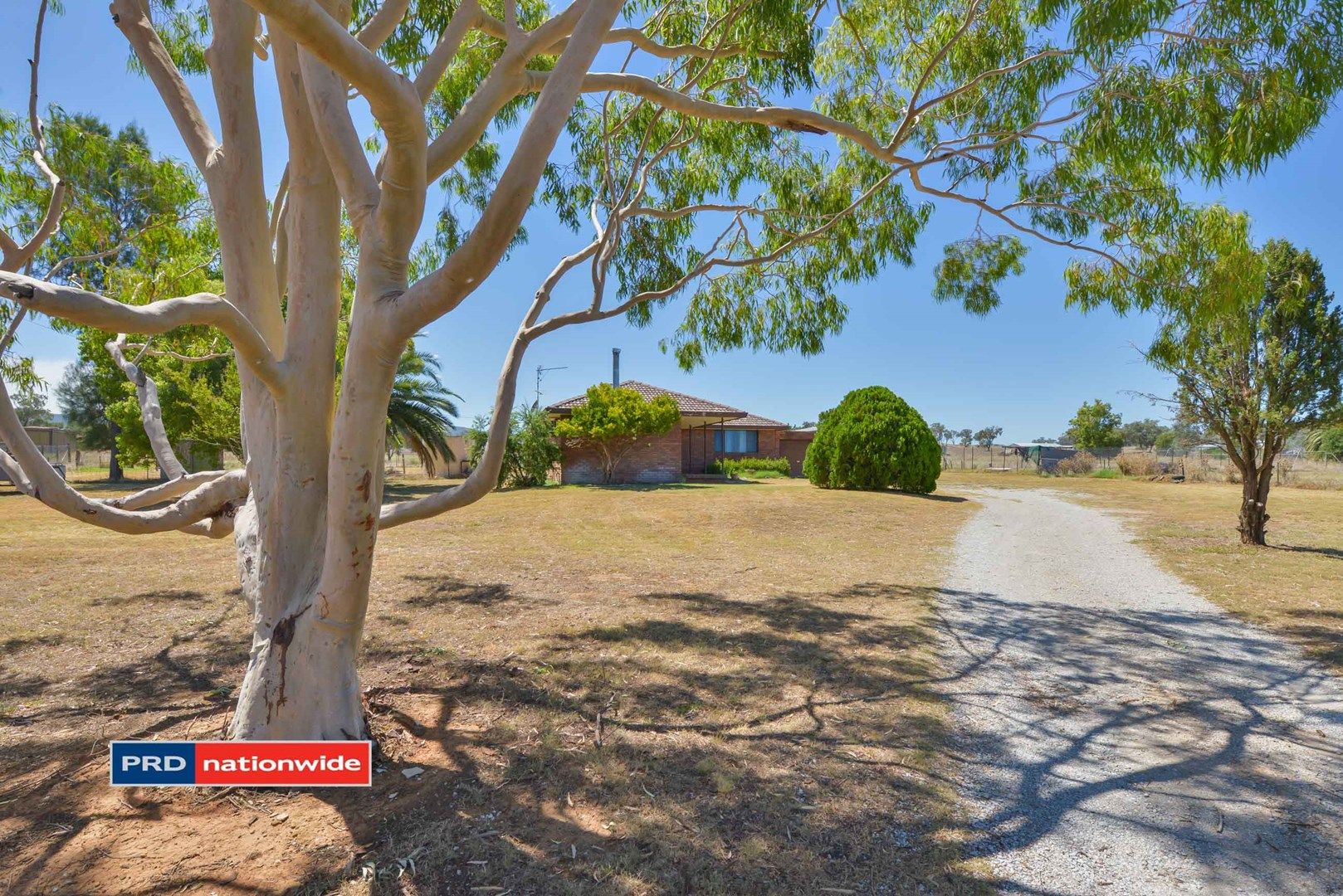 1410 Manilla Road, Hallsville NSW 2340, Image 0