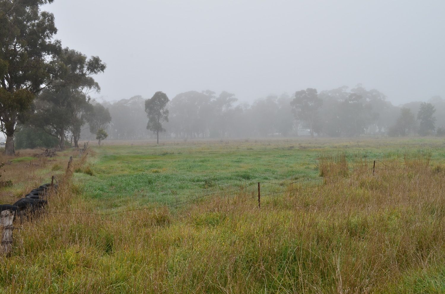 7 Marungi Road, Marungi VIC 3634, Image 2