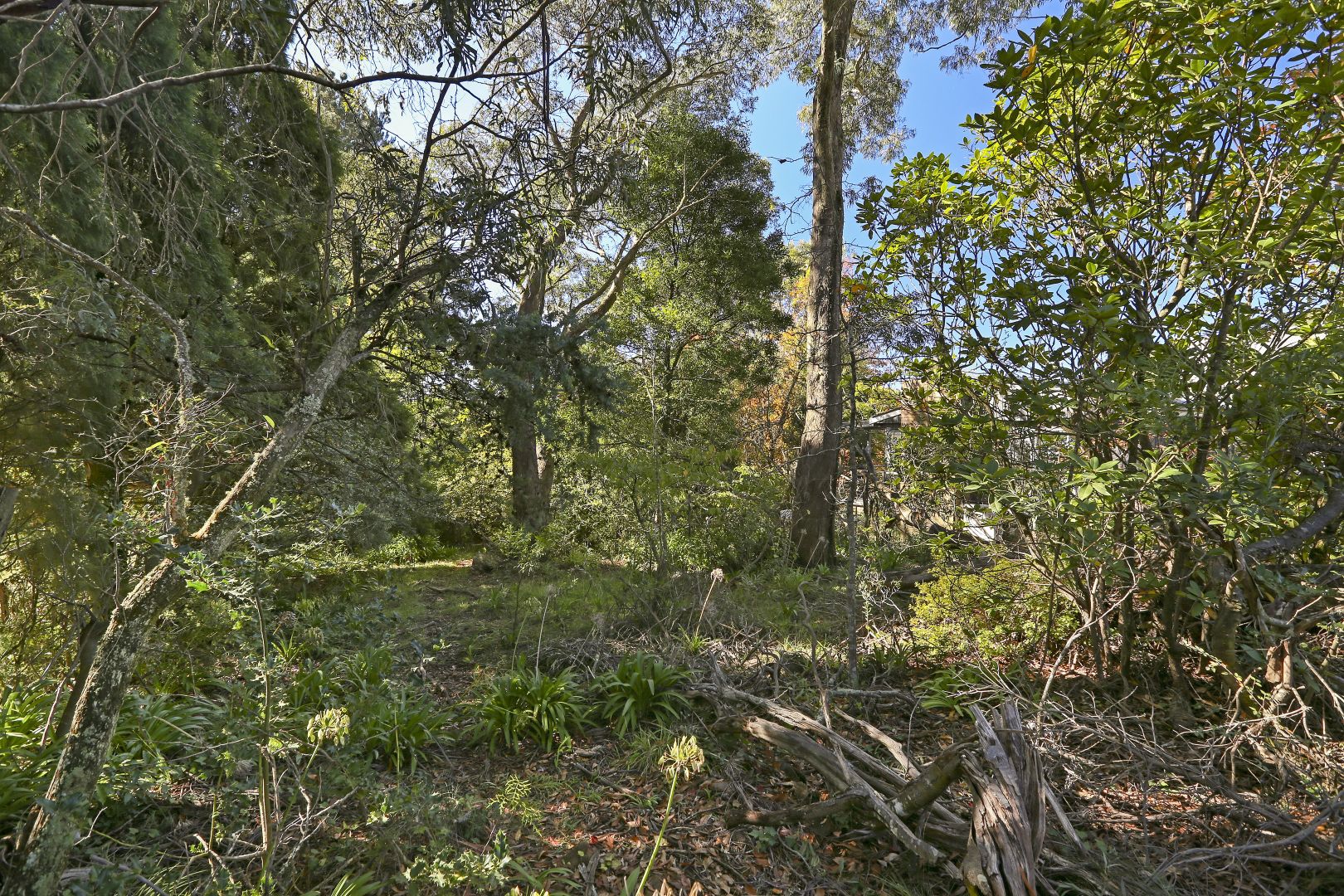 14 Sylvania Street, Mount Victoria NSW 2786, Image 1