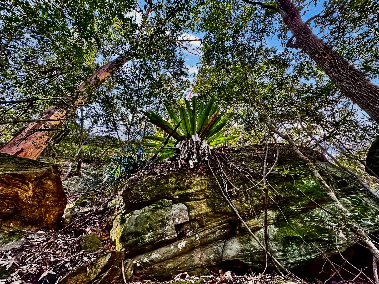 Image 11