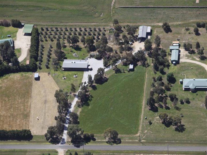 16 Honniball Drive, Tocumwal NSW 2714