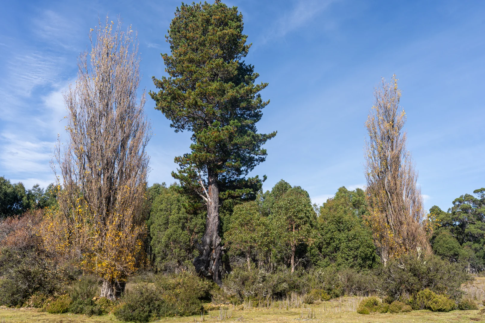 Image 11