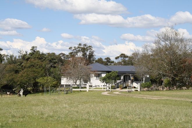Picture of 135 Ridge Rd, MARYLAND NSW 4377