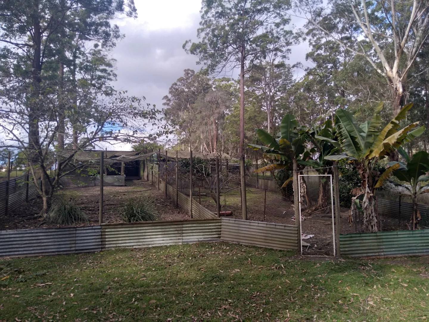 Image 21