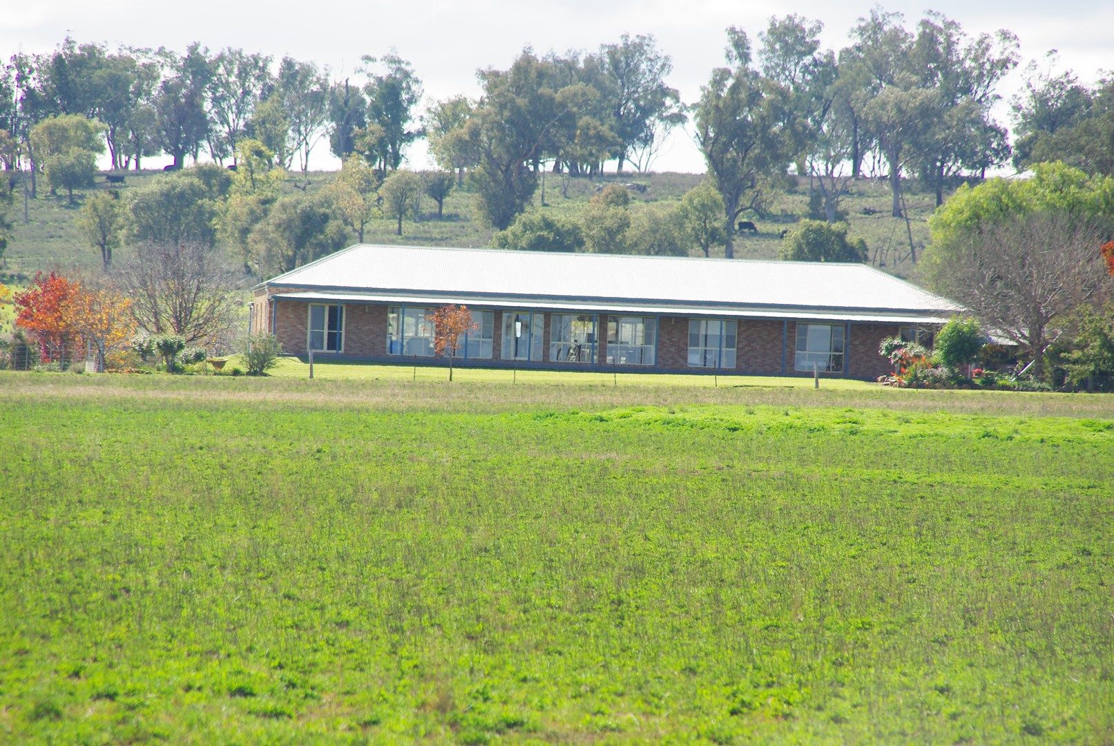 372 Kurrajong Road, Binnaway Property History & Address Research Domain