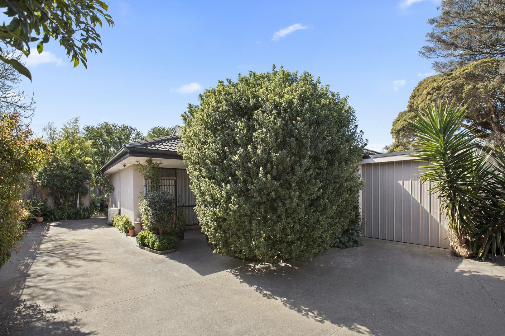 89A Broadway, Bonbeach VIC 3196, Image 0