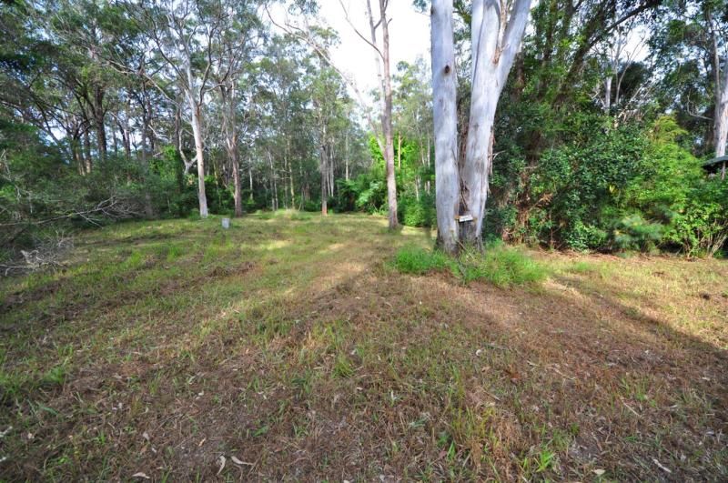 9 Sanctuary Place, Hyland Park NSW 2448, Image 1