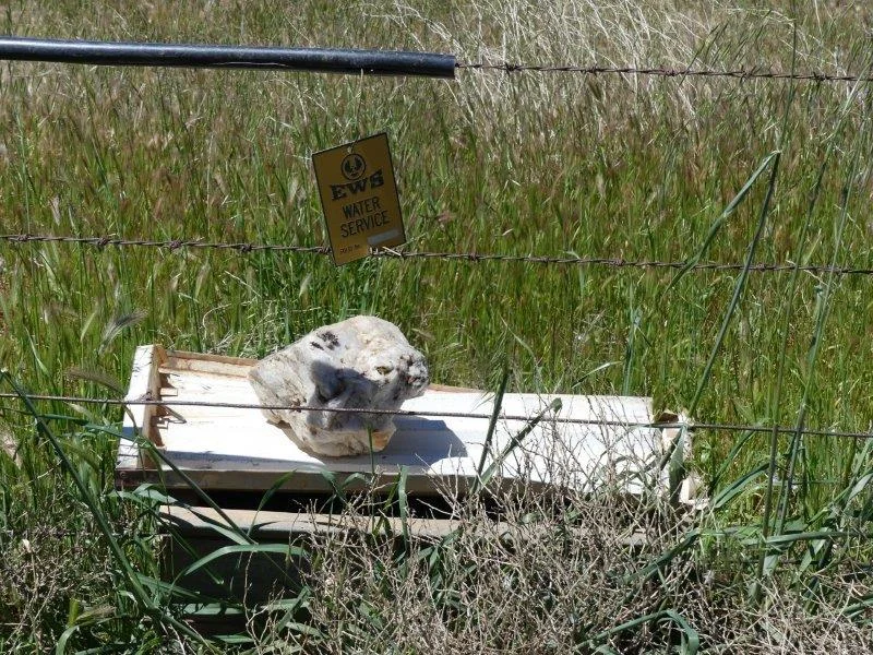 Image 15