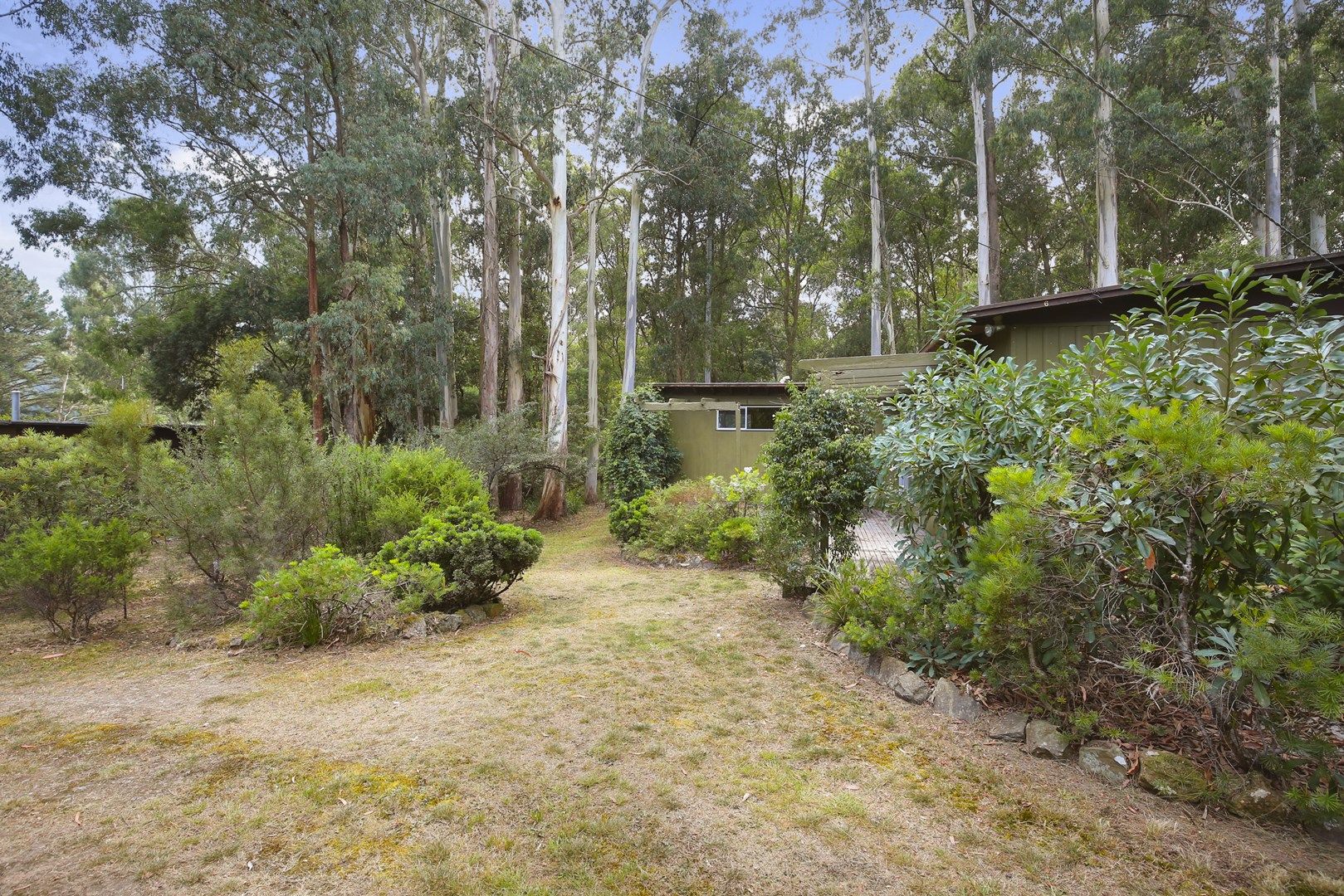 6 Callop Street, East Warburton VIC 3799, Image 1