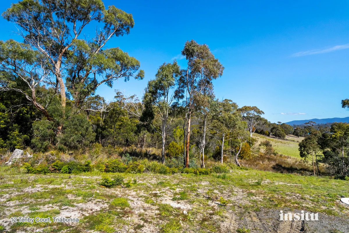 Image 12