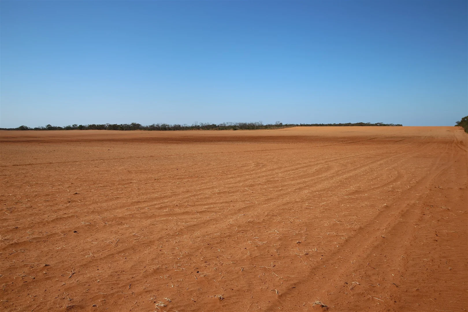 Image 15