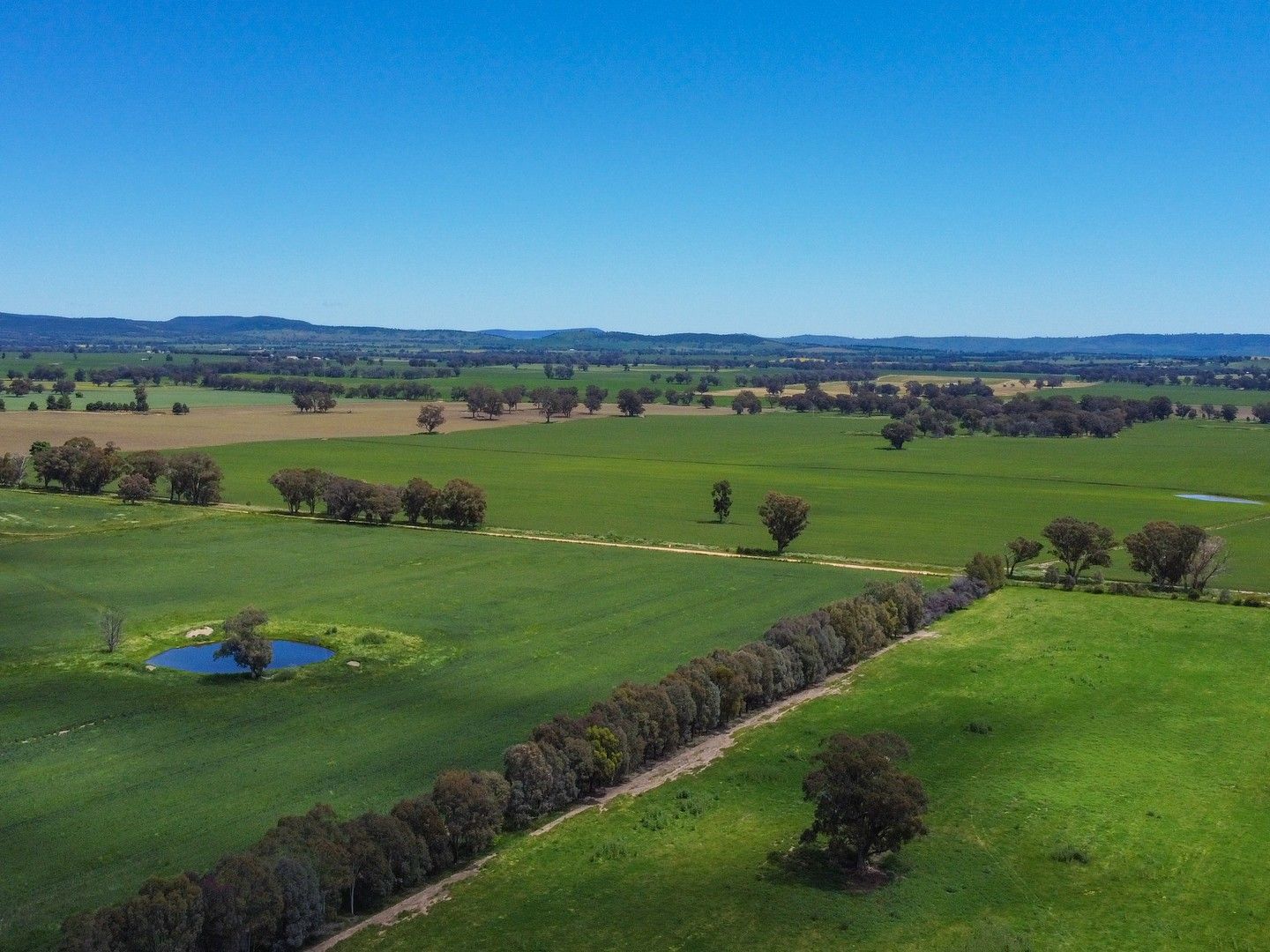 'Bellhaven Park' Morongla Road, Cowra NSW 2794, Image 0
