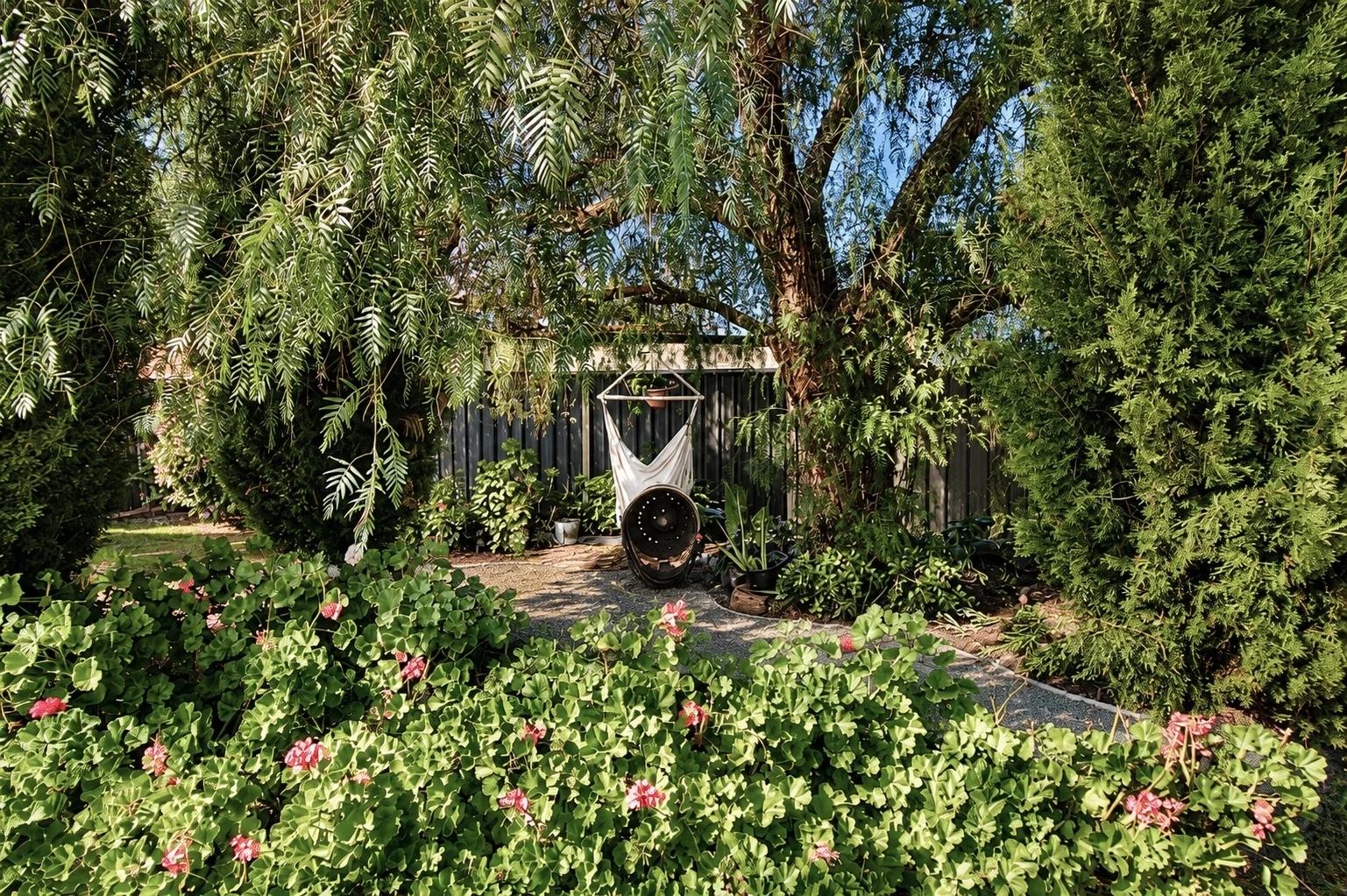 Image 20