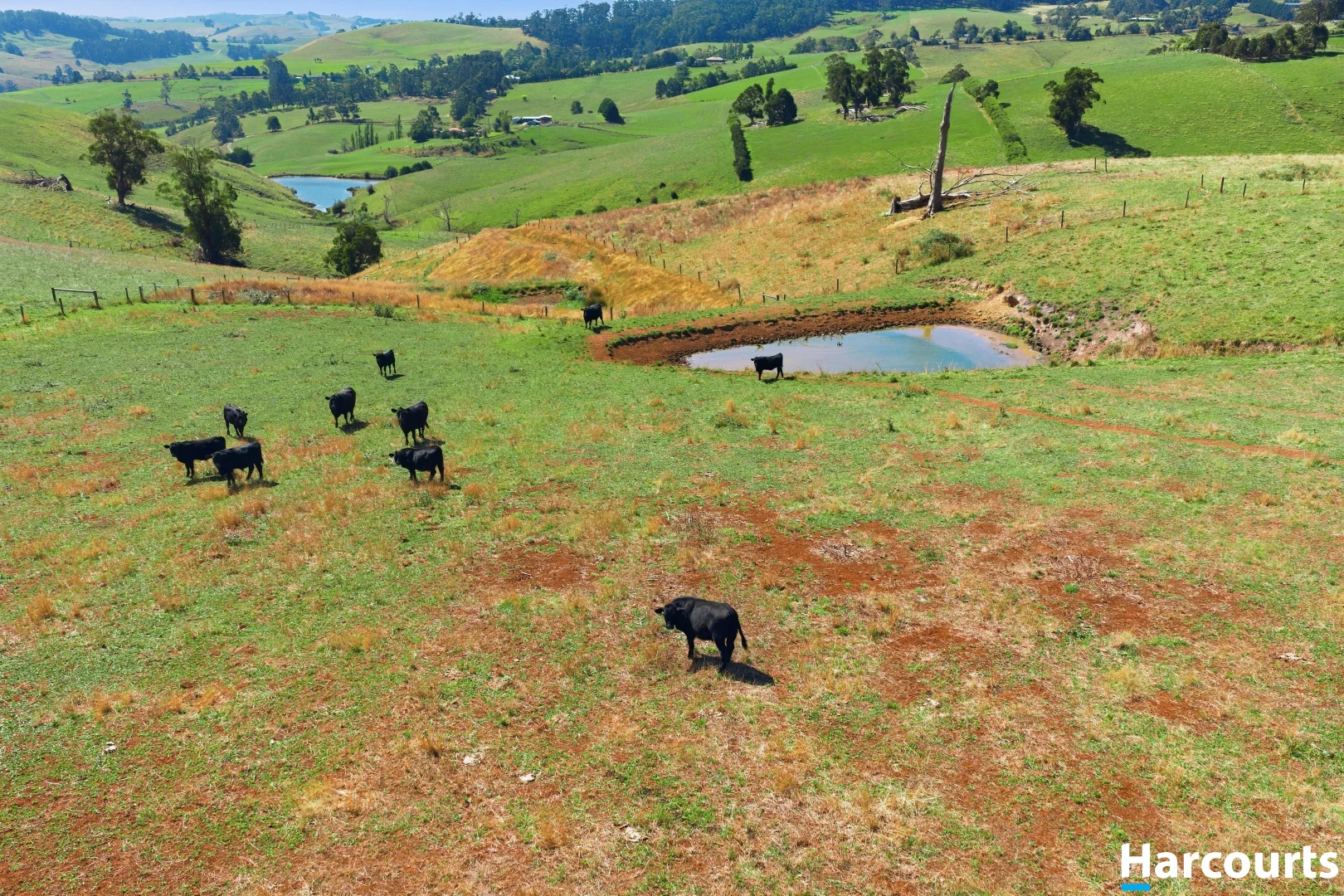 Additional image 24 of 8 Stubbers Lane, Mirboo North VIC 3871
