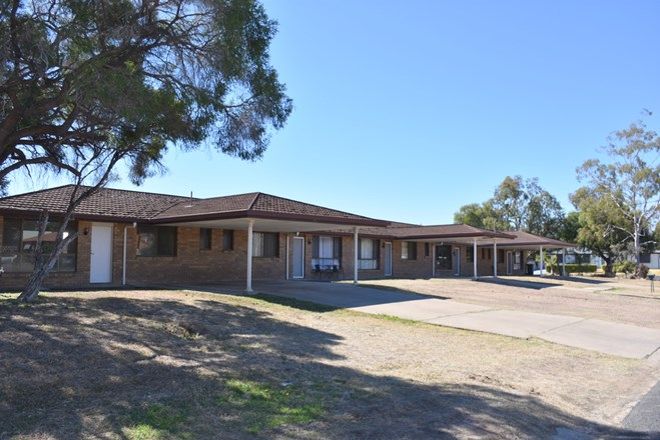 Picture of 1 Bowe Street, MOREE NSW 2400