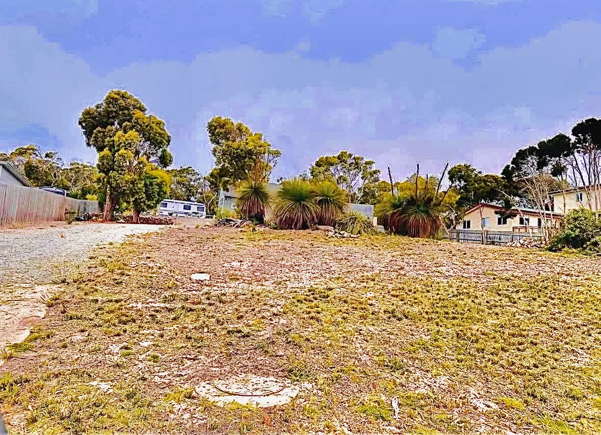 Image 8
