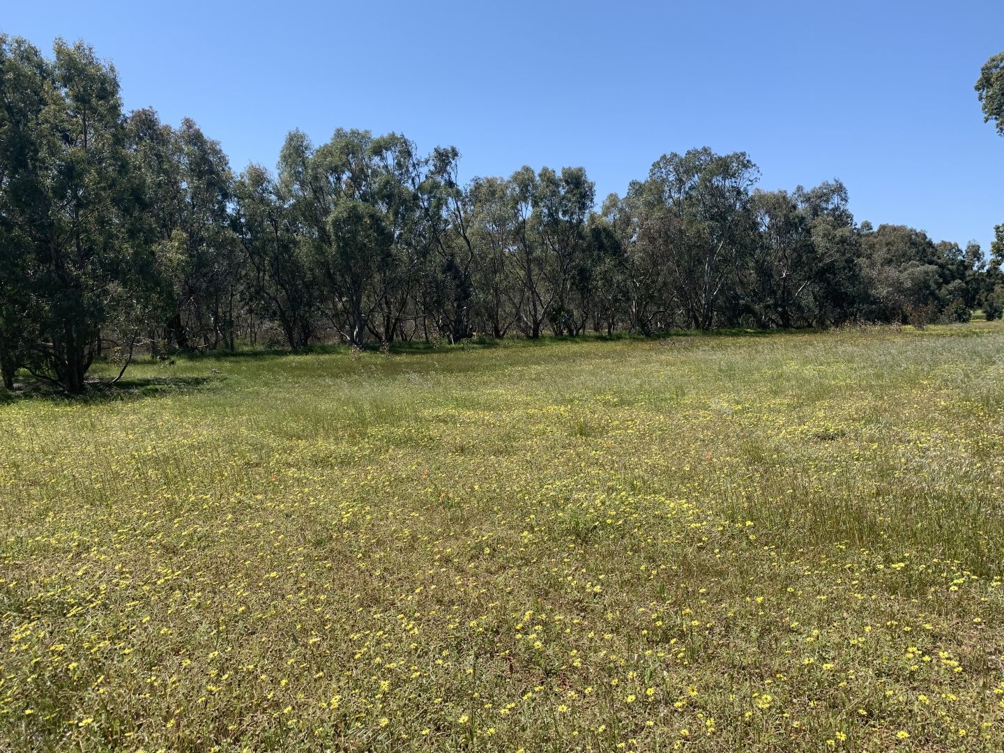 Lot 365 Glenmore Drive, Bakers Hill WA 6562, Image 2