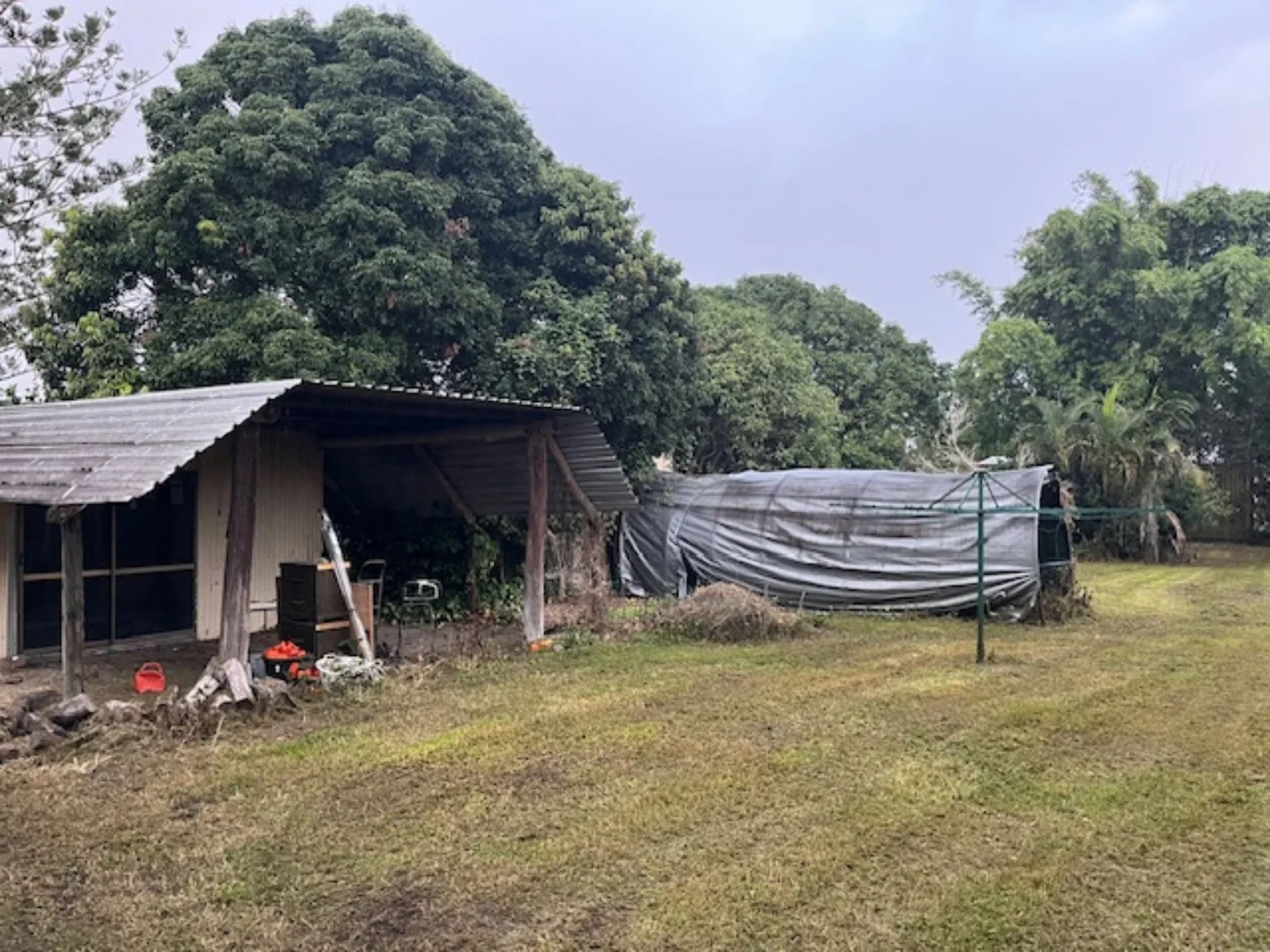 Image 12