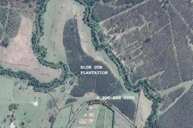 Picture of LOWER BOTTLE CREEK NSW 2469