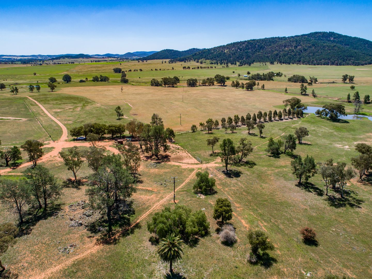 'Pine Park' Eulimore Road, Eugowra NSW 2806 House for Sale Domain