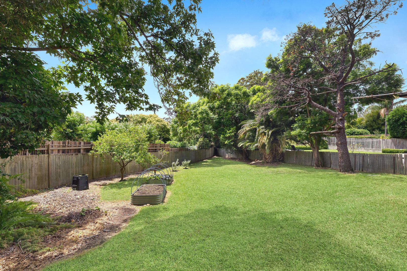 8 Gannet Street, Gladesville NSW 2111, Image 2