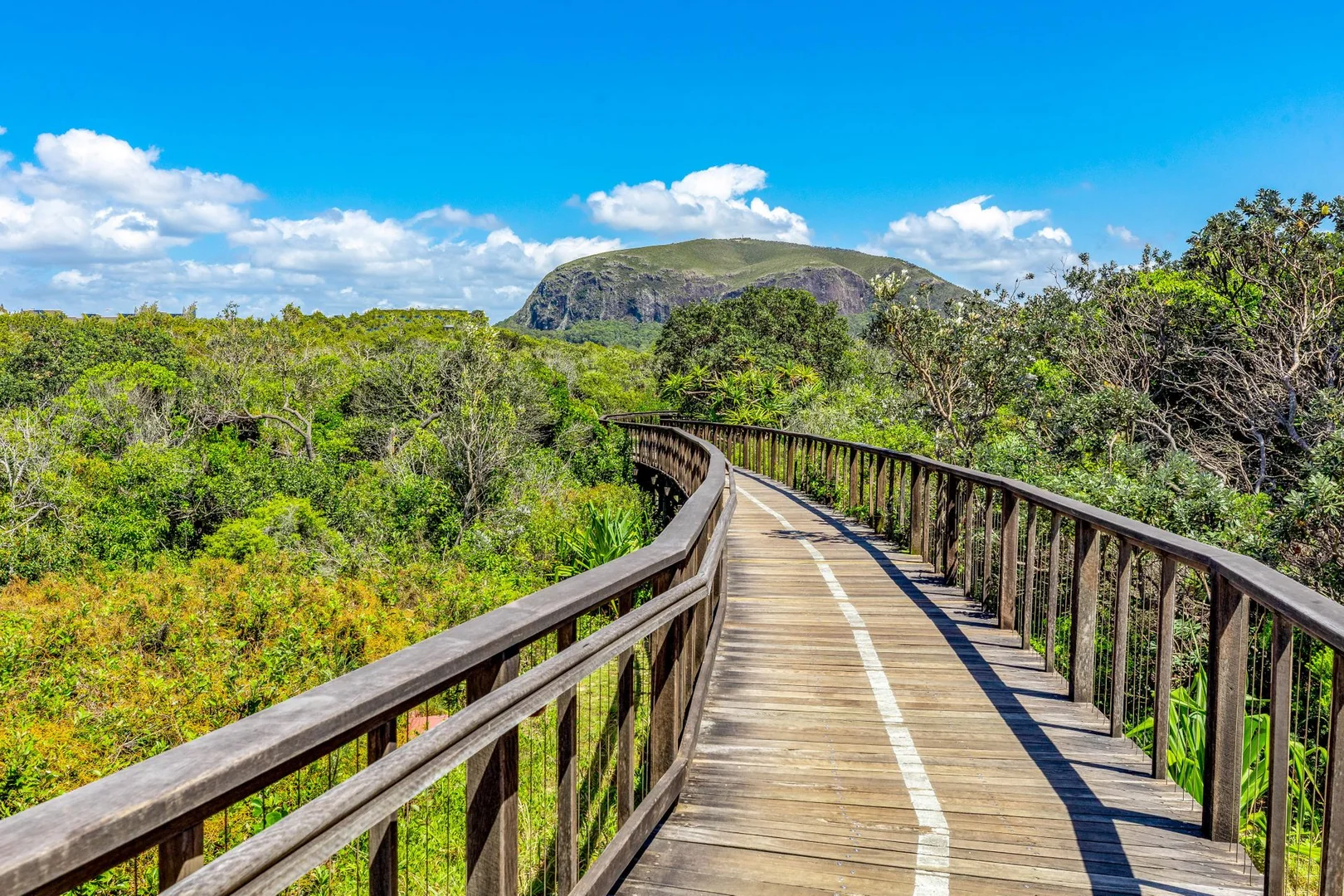 Additional image 38 of 39 Kingfisher Drive, Bli Bli QLD 4560