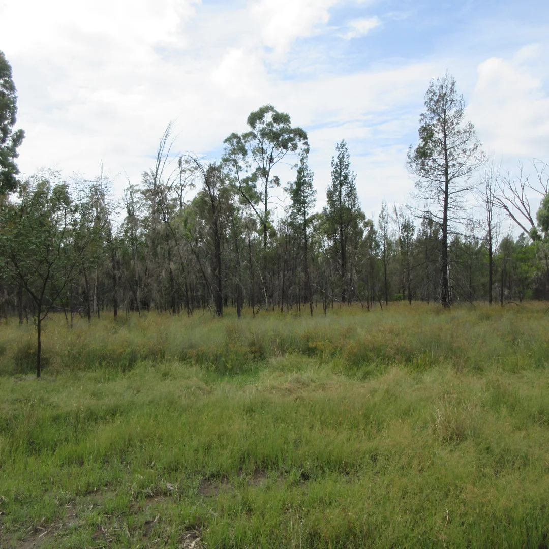 Additional image 5 of 85 Harwoods Road, Tara QLD 4421