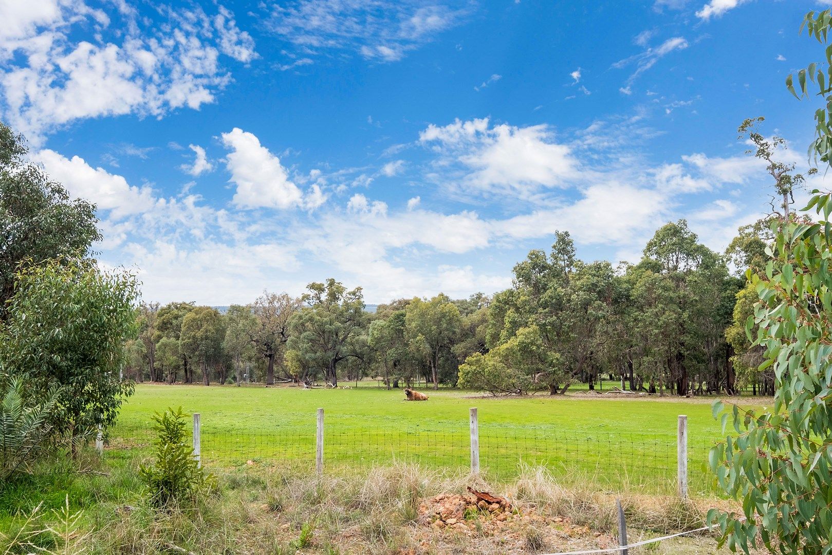 182 Dinsdale Road, Gidgegannup WA 6083, Image 0