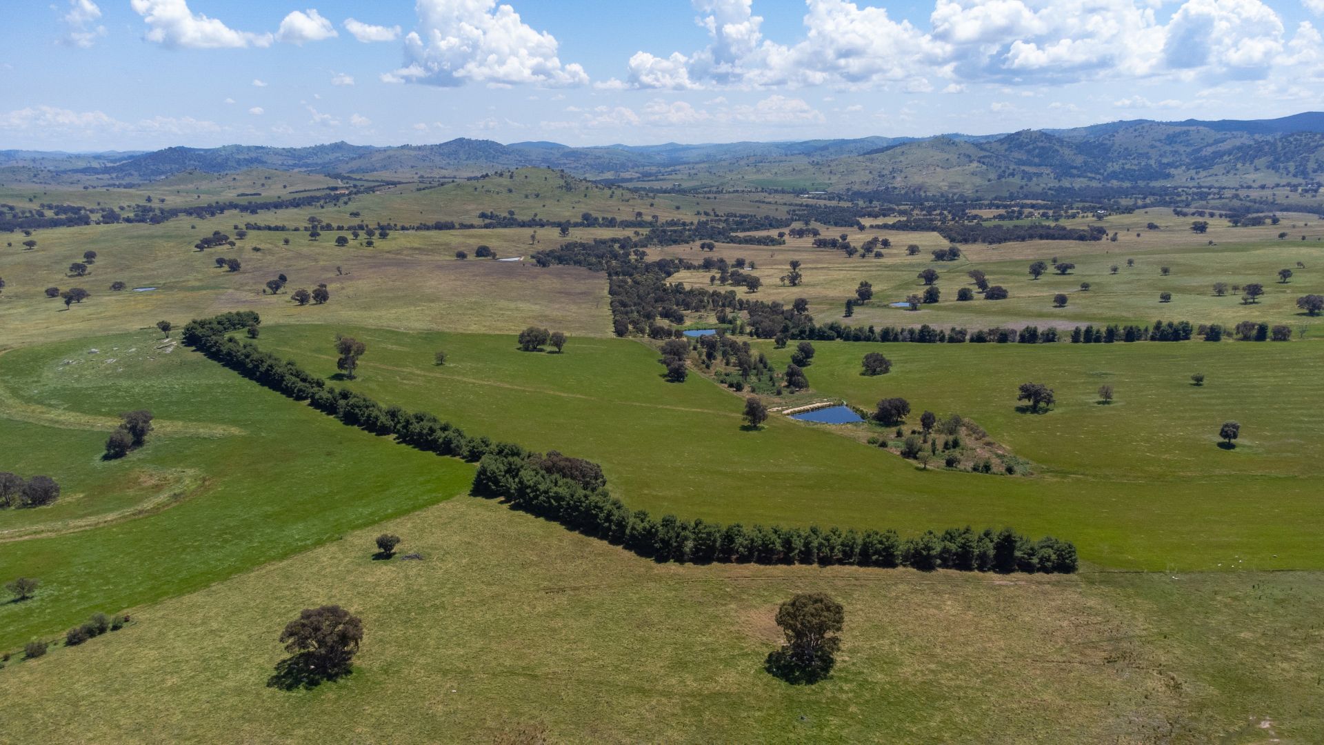 4162 Frogmore Road, Hovells Creek NSW 2794 House for Sale Domain