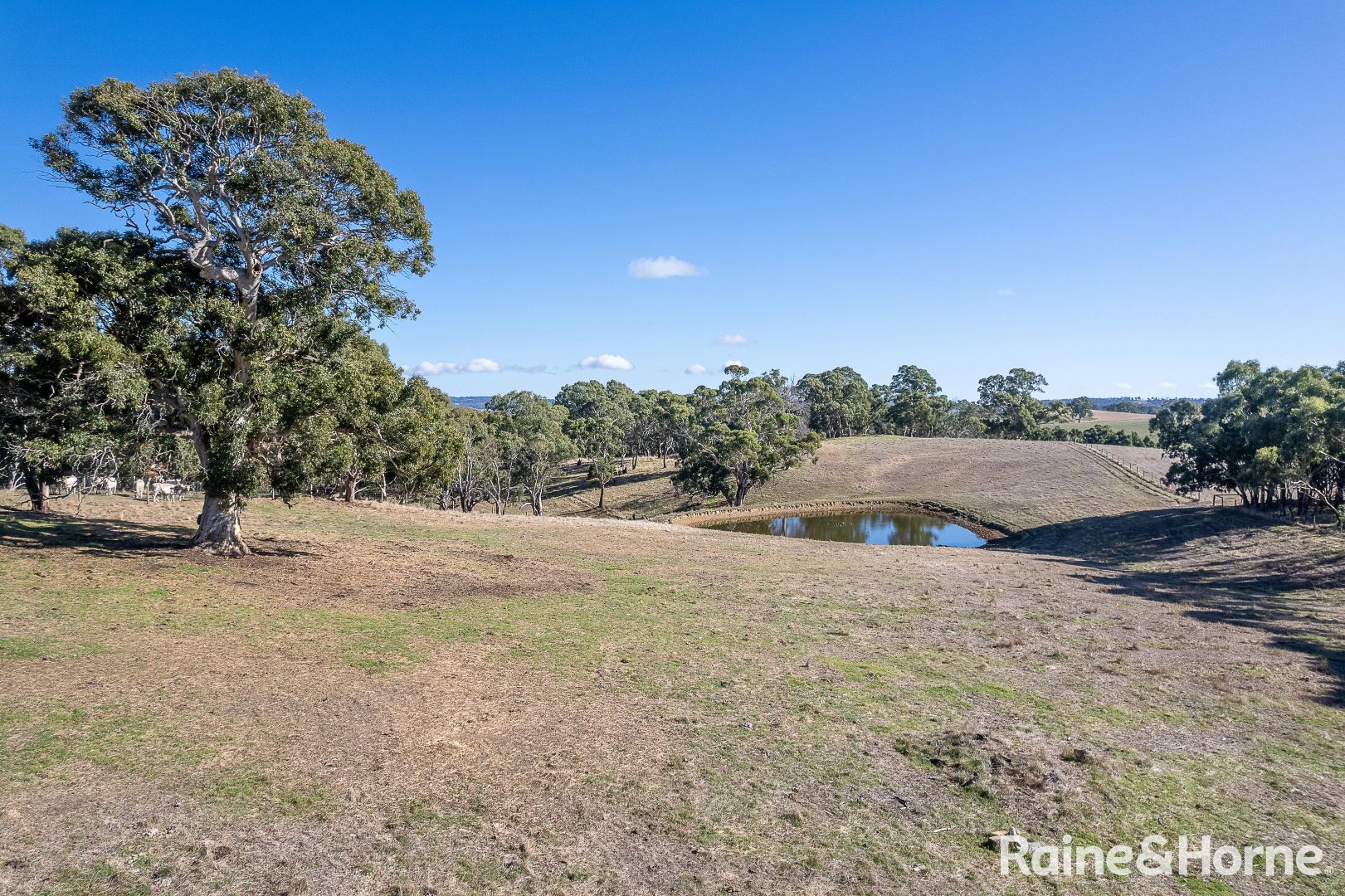 95 Murdoch Hill Road, Woodside SA 5244, Image 2