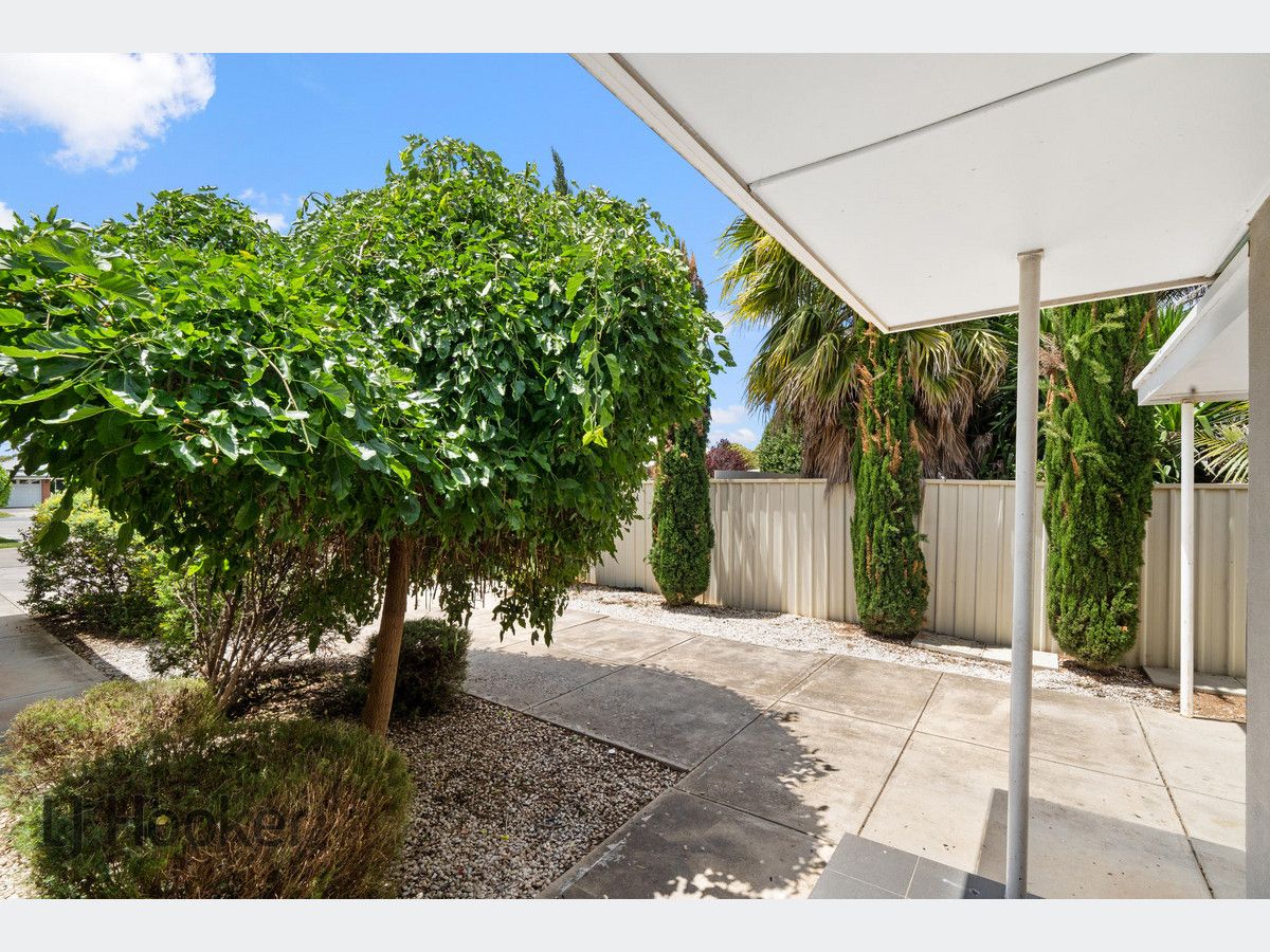 4/2 Fischer Street, Welland SA 5007, Image 2