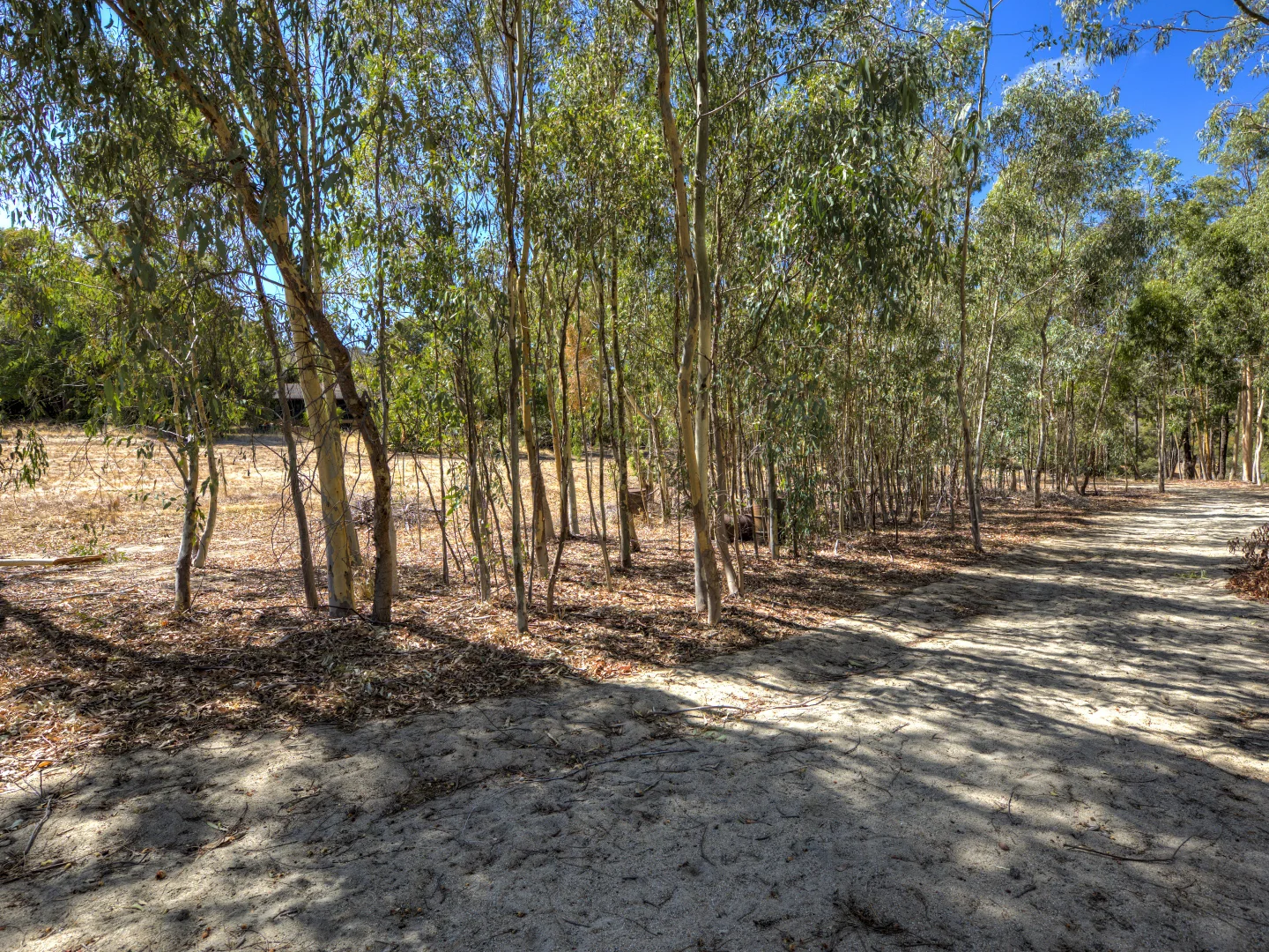 Additional image 6 of 174 Lewis Road, Forrestfield WA 6058