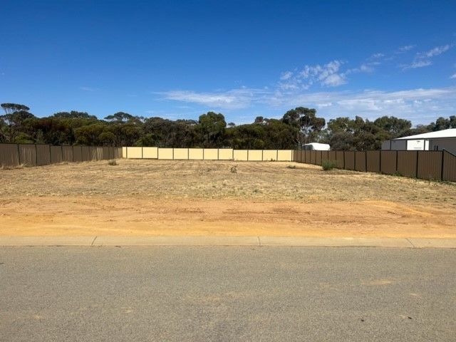 5 Carrington Street, Merredin WA 6415, Image 0