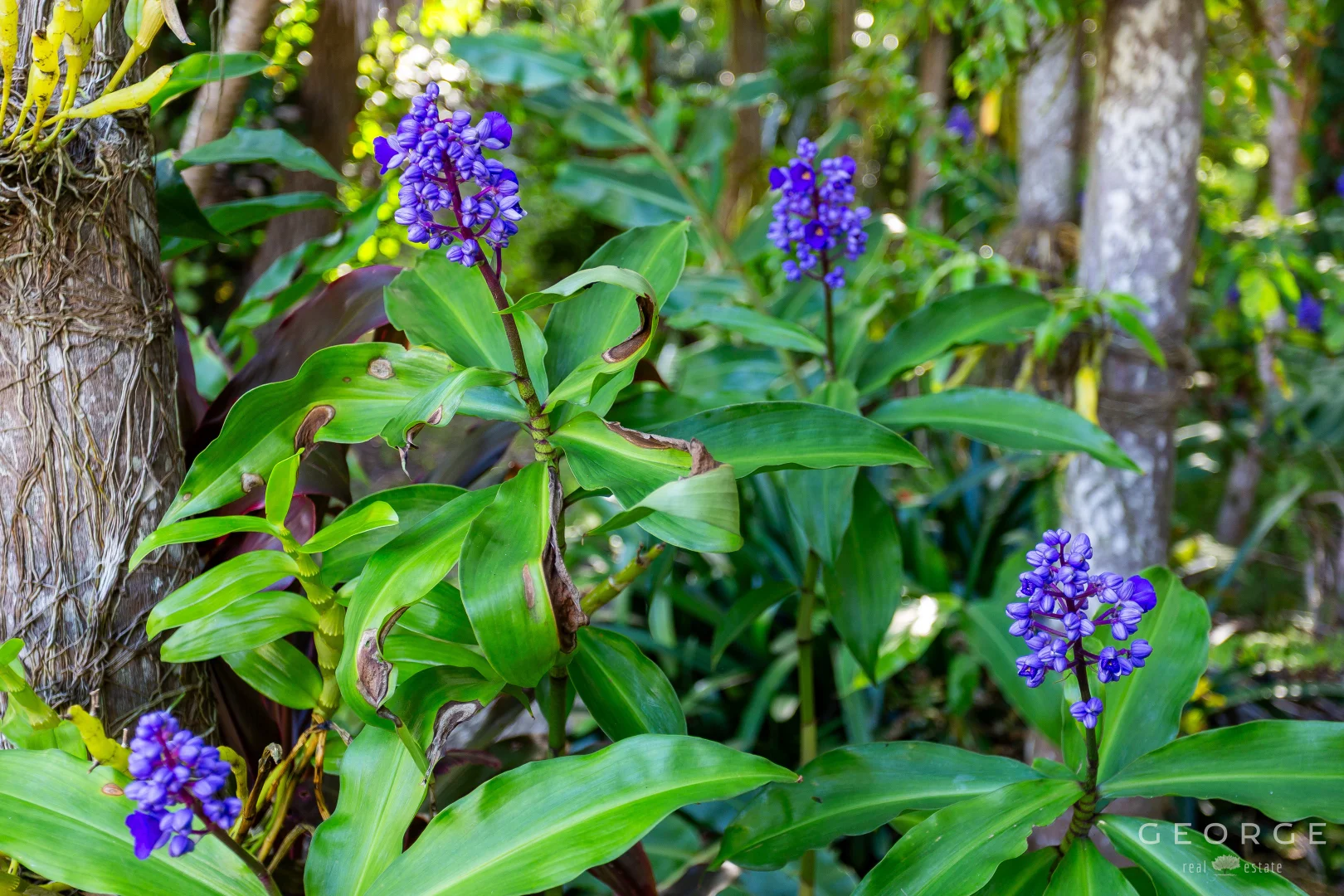 Additional image 5 of 3 Toomey Street, Traveston QLD 4570