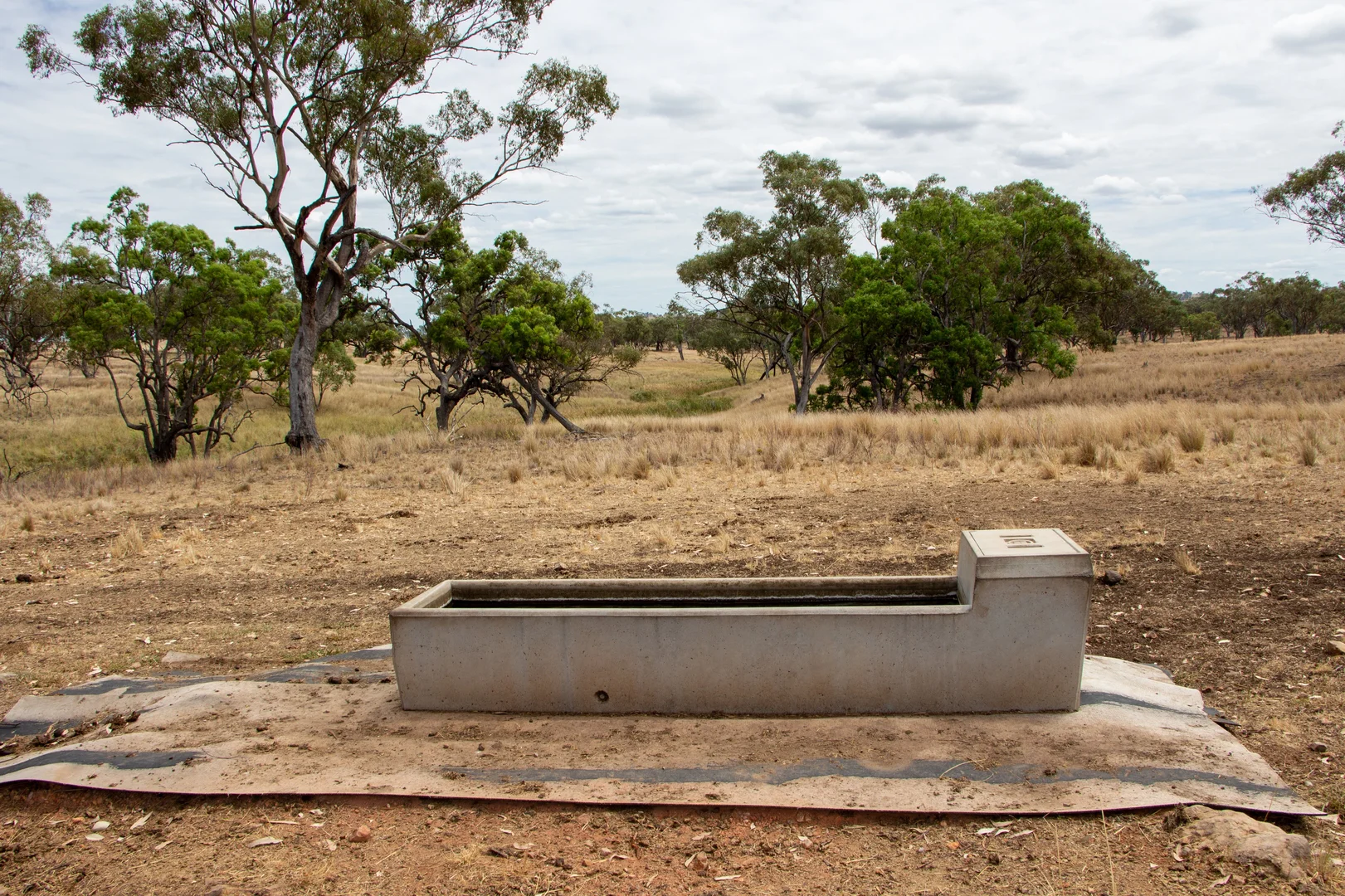 Image 10