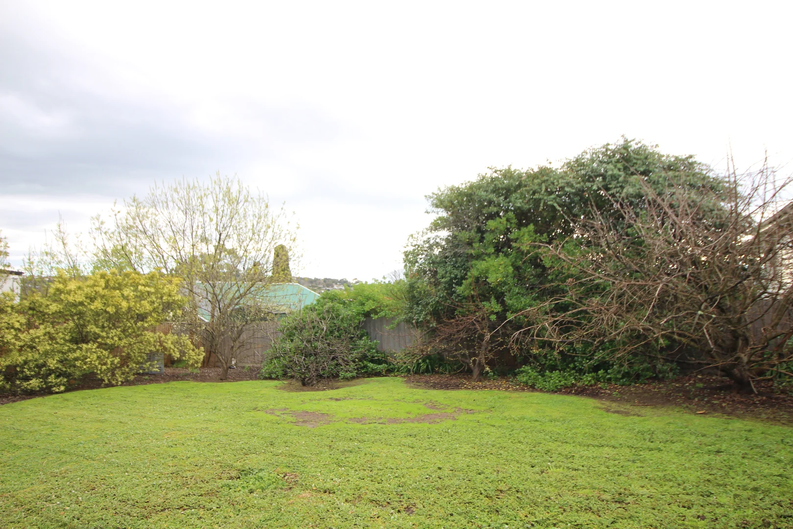 Additional image 11 of 8 Clarke Avenue, Belmont VIC 3216