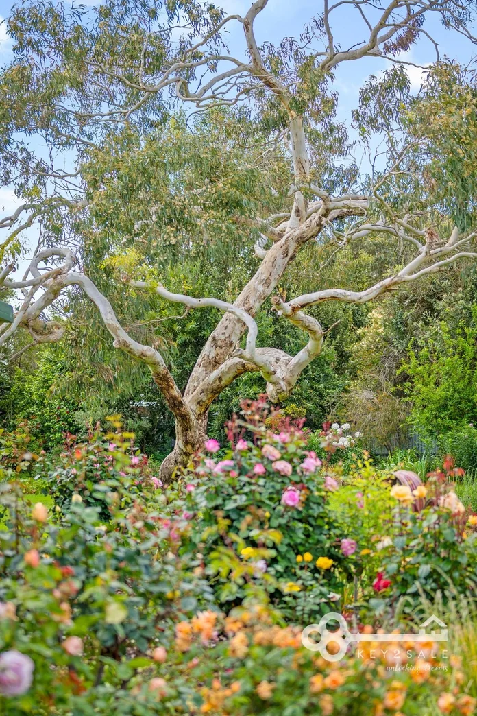 Additional image 20 of Glencoe SA 5291