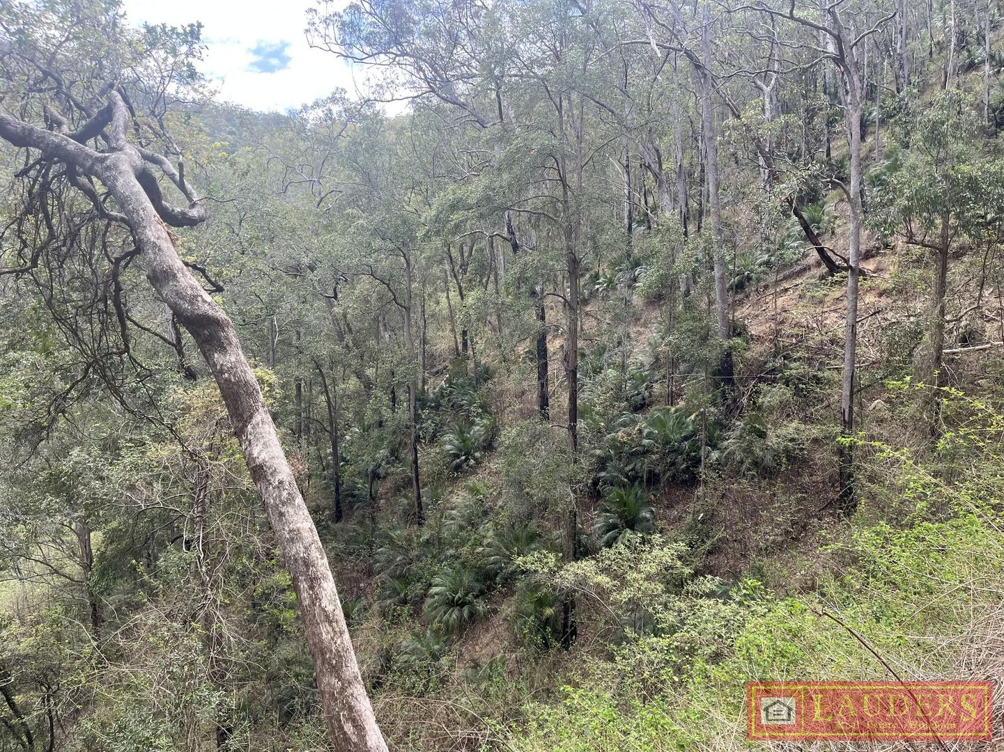 Connollys Creek Road, Mount George NSW 2424, Image 1