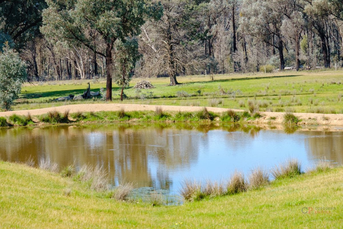 Chiltern-Yackandandah Road, Indigo Valley VIC 3688, Image 2