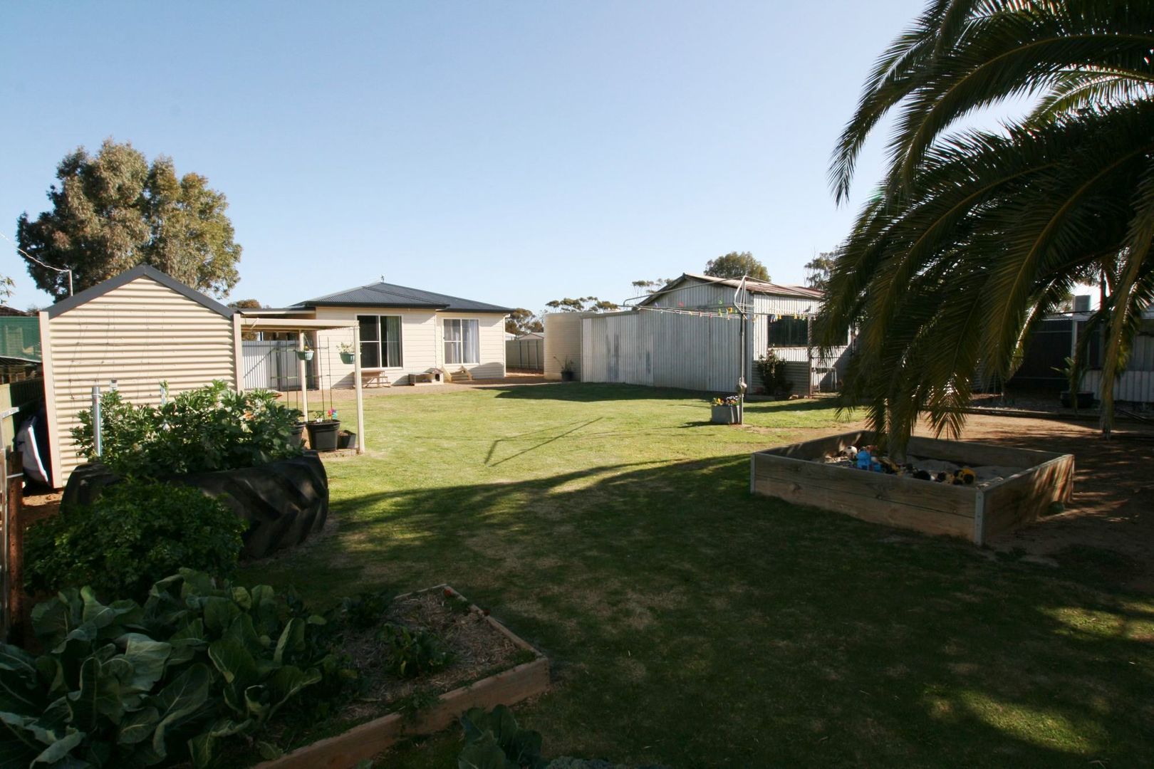 7 South Terrace, Kulpara SA 5552, Image 1