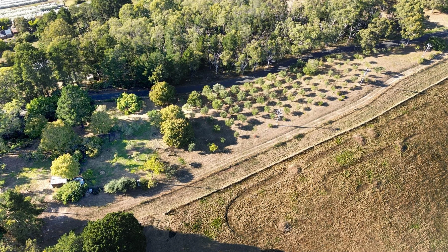 Additional image 8 of 261 Range Road, Basket Range SA 5138